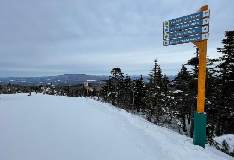 Okemo ski trail
