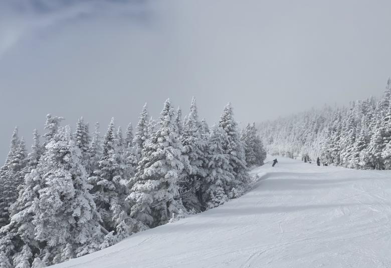 Powder on trail at Vermont ski trail