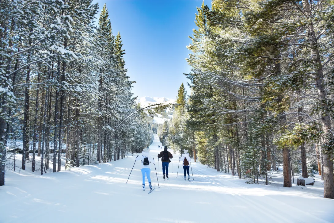 Cross-Country Skiing