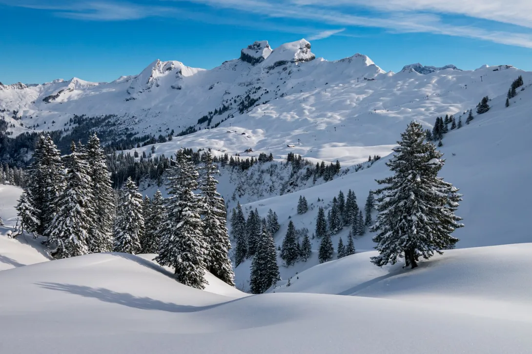 Fresh powder on a mountain