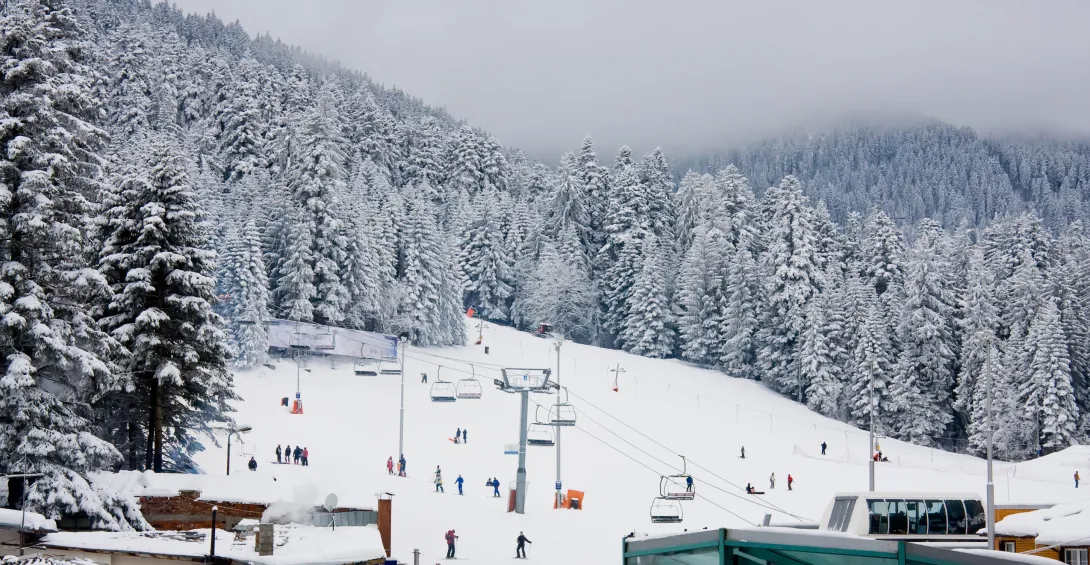 Overcast day on ski slope