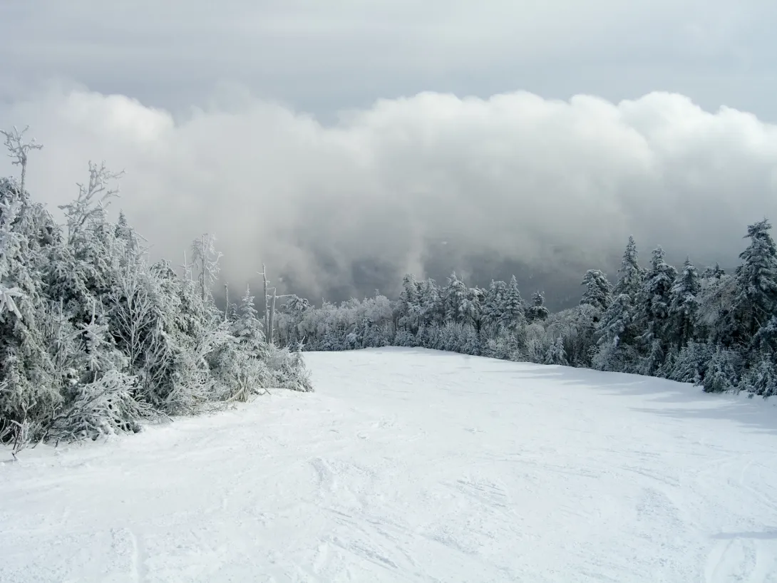 Vermont ski trail