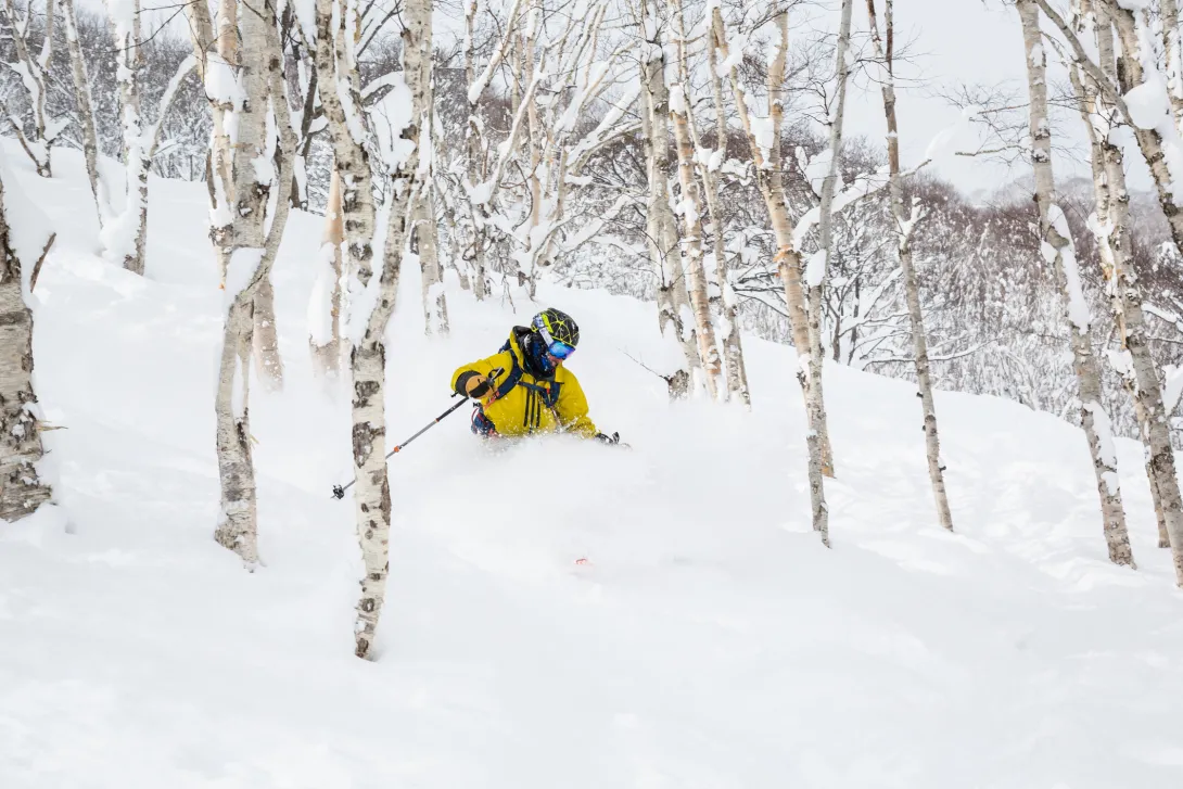 backcountry skiing