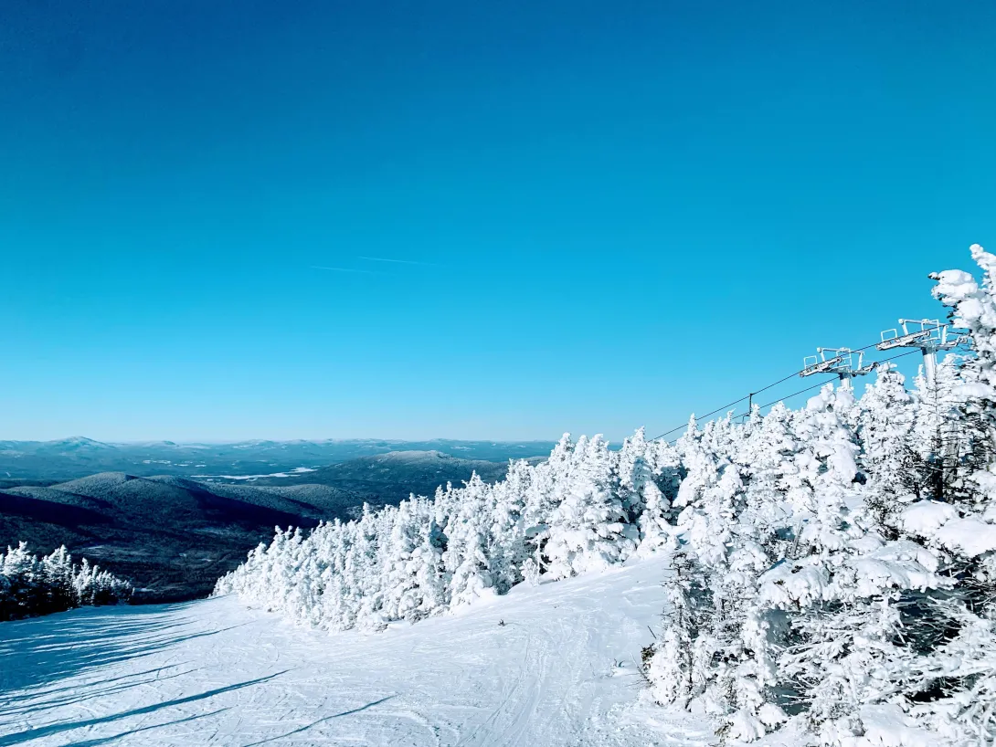 Bluebird day