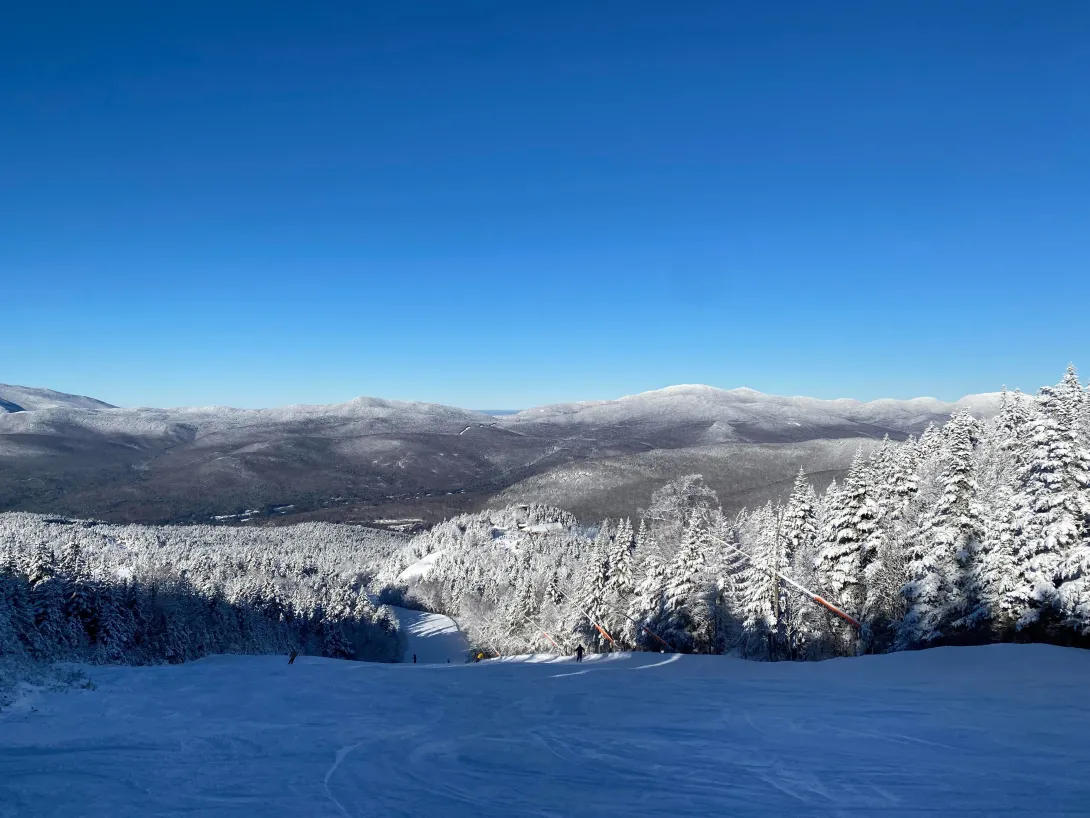 Bluebird day