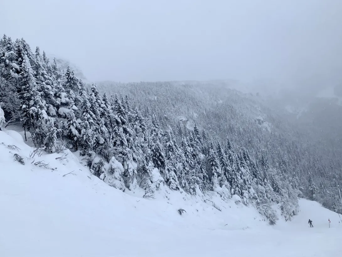 Snow covered mountain trail