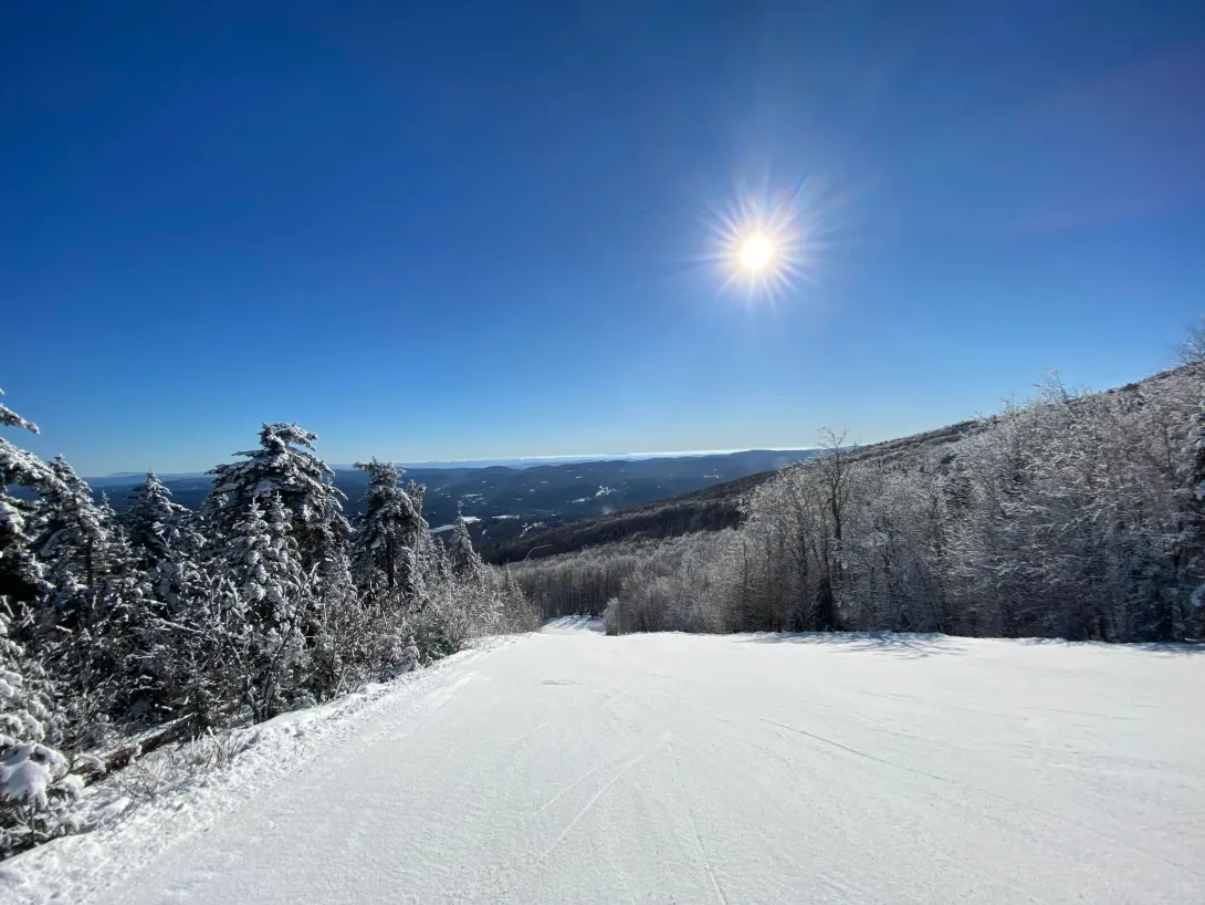 Bluebird day