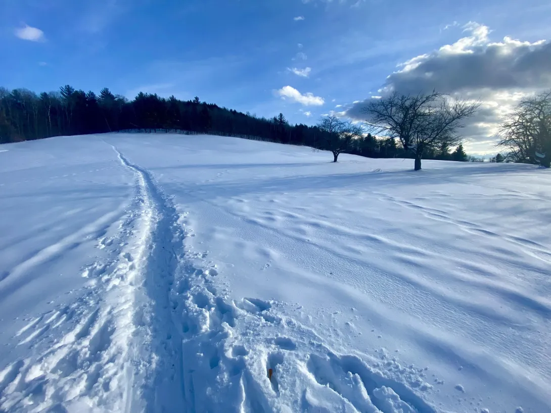 Powder in vermont ski trail